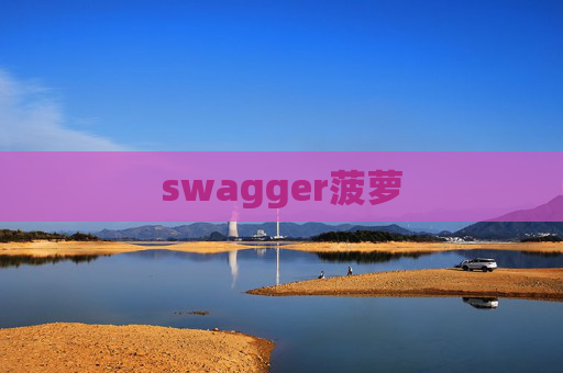 swagger菠萝